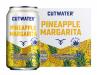 Cutwater Spirits - Pineapple Margarita (120)